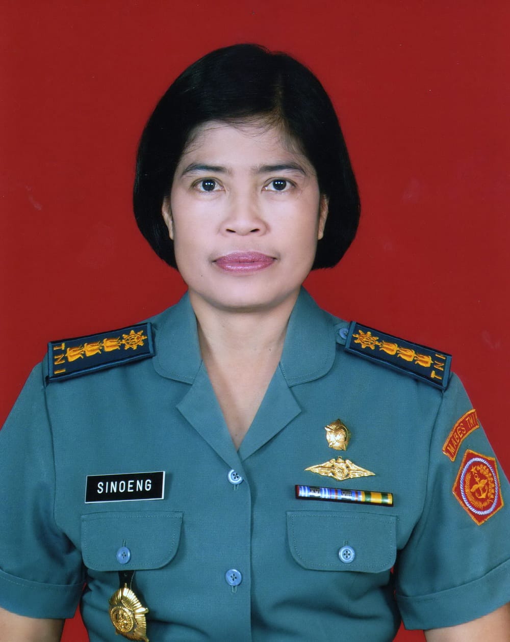 sinoengsh